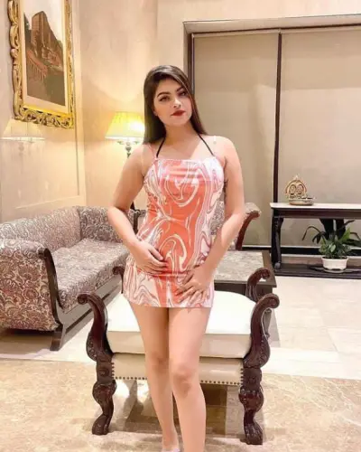 Escorts Service In Panisagar